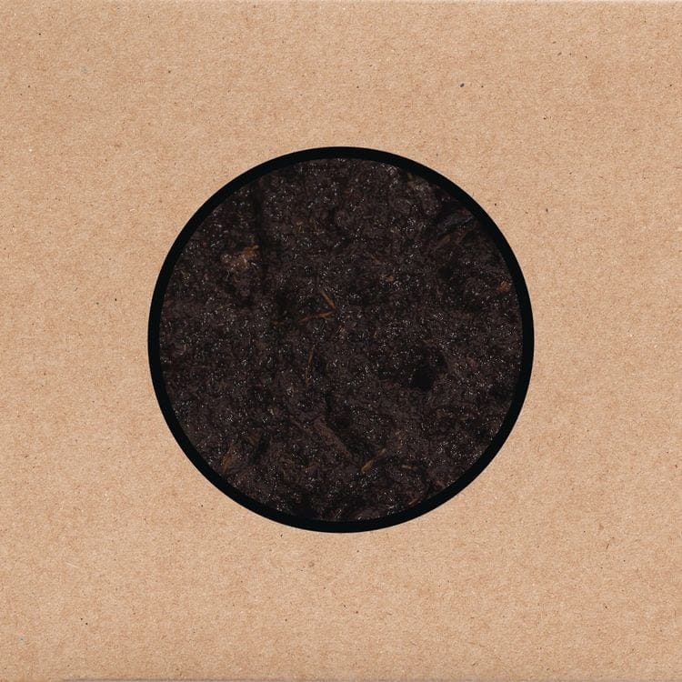 Swans-Birthing